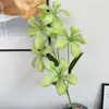 2026 Nuevo Modelo Plantas Verdes Artificiales Hierba de Espárrago Asparagus Asparaginea Decoración de Boda Flores Falsas Verdes Paisajismo Fotografía Plantas Verdes Estilo Bosque