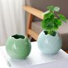 Adornos de Mesa Decoración Moderna para el Hogar Jarrón Hidropónico Estilo Nuevo Chino