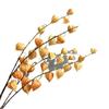 Linterna de palacio de simulación, fruta de alta calidad, linterna de niña, venta al por mayor, accesorios de fotografía florales para el hogar, linterna colgante de fruta