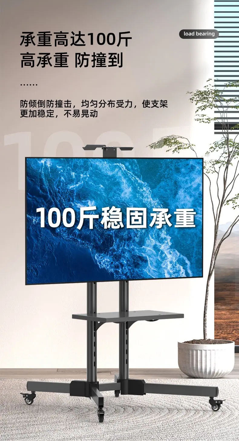 详情 (8).JPG