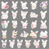51 Pegatinas de Conejo Deseante Sanrio Dibujo Animado Lindo Tarjeta Goo Cuenta de Mano Decorativa Vaso de Agua Carcasa de Teléfono Móvil Pegatinas de Papa Pequeña