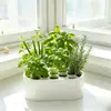Superventas transfronterizo Regenerador de Cebolleta, artículo de decoración del hogar para cultivar cebolletas, recipiente hidropónico para cebolletas