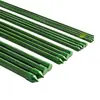 Treliça Combinada de Uva Pepino Feijão Verde Tomate para Plantas Trepadeiras Suporte para Flores Haste de Suporte Tubo de Aço Super Duro Revestido de Plástico