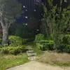 Novo Tecido de Fundo para Transmissão ao Vivo Tecido de Parede Estéreo Cenário 3D Pastagem Floresta de Bambu Cenário Rural Externo Cortina para Transmissão ao Vivo