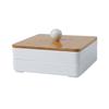 Plato de comida pequeño dividido estilo japonés Plato de refrigerio para el hogar Mesa de centro de la sala de estar Caja de dulces Plato de fruta Plato de refrigerio de fruta seca Caja de almacenamiento
