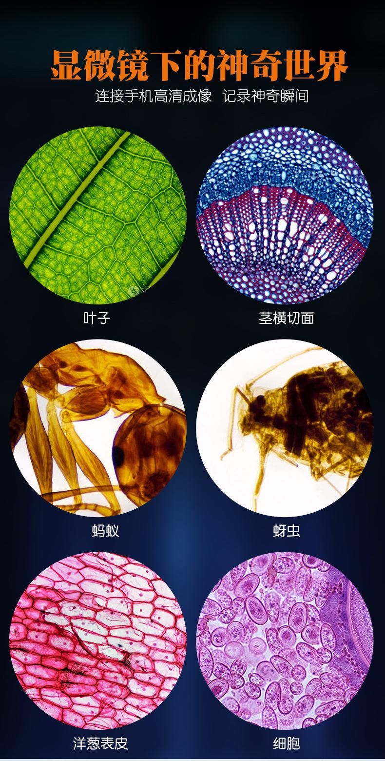 MY-XWJ0021显微镜详情_05.jpg