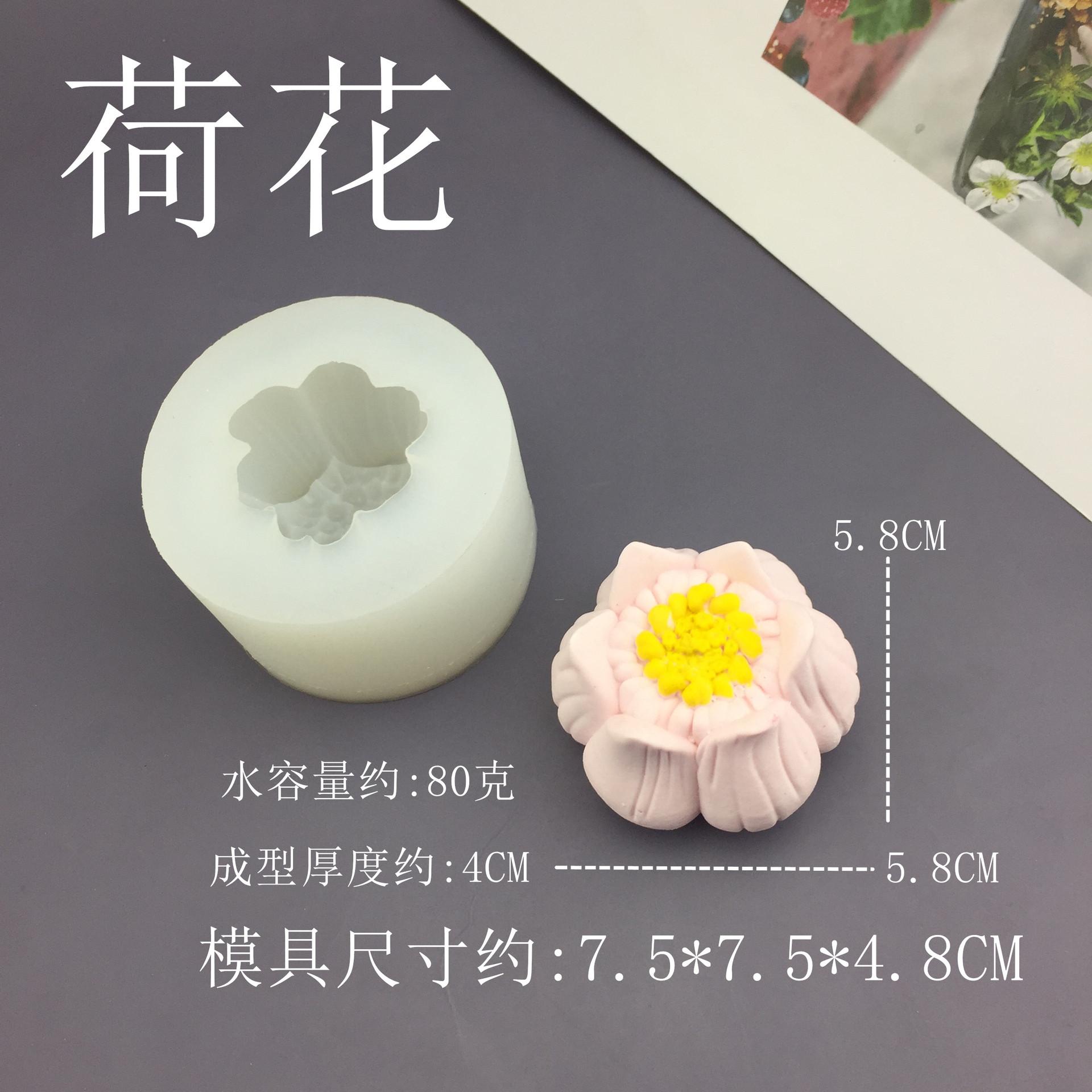 5_副本