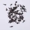 Accesorios de Pollito Amarillo, Ojos de Frijol Negro, Pollito Pequeño, Pico de Pájaro, Animal de Peluche Pato, Nariz Negra, Artículos en Stock Transfronterizos