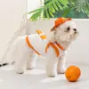 Nova Colete de Animal de Estimação Primavera e Verão com Estampa de Frutas, Com Capuz, Respirável, Proteção Solar Roupa de Duas Pernas para Gatos e Cachorros