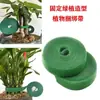 Soporte metálico para plantas de venta cruzada, soporte para flores, vara de soporte para plantas verdes, soporte anticaída, estabilizador de plantas