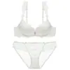 Comercio Exterior Venta Caliente Sexy para Busto Pequeño Realce Lateral Soporte Lateral Ropa Interior Fina Parte Superior Gruesa Parte Inferior Soporte Conjunto de Sujetador de Encaje