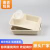 Lonchera de pulpa desechable degradable, lonchera para ensalada, lonchera ligera, lonchera rectangular, lonchera ecológica para llevar