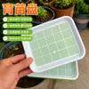 Bandeja para Plántulas Bandeja Bandeja para Germinar Brotes de Frijol Maceta Hidropónica para Germinación Cultivo sin Suelo Equipo para Verduras Cultivo Casero