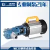 Bomba de Aceite para Engranajes Portátil 220V Wcb-75 de Shanghai Lianquan, Bomba de Engranajes Wcb de Acero Inoxidable 304 a Prueba de Explosiones, Autocebante