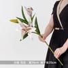 Flores Artificiais, Pinturas a Óleo, Lírios de Perfume, Projetos de Decoração Suave Escandinava para Casa e Hotel, Enfeites de Casamento, Cenários, Flores Artificiais