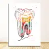 Escritório de Educação Médica Tela Pintura em Tela de Anatomia Humana Músculo Pintura Artística Pintura Aquarela Personagem Pintura Decorativa Núcleo