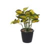 Simulação de flor falsa planta folha bonsai criativo pequenos ornamentos simulação de fornecimento direto da fábrica de flores simulação planta em vaso uma geração de cabelo