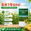 Maíz Número Uno Dorado Palo Grande Siembra de Maíz Aumento de Rendimiento de Maíz Aumento de Ingresos Granos Completos Resistencia al Vuelco Fertilizante Foliar Especial