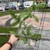 Nueva planta verde artificial, hoja de garra de dragón, malla de hojas colgantes, bambú, ciruela, lirio, bambú, Mori, camino de boda, flores falsas, fábrica al por mayor