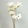 Sementes, Flores, Flores Eternas, Flores Secas Artesanais, Kit de Material DIY, Arranjo de Flores em Vaso, Flores Naturais Reais, Adereços para Fotografia, Plantas Estilo Ins