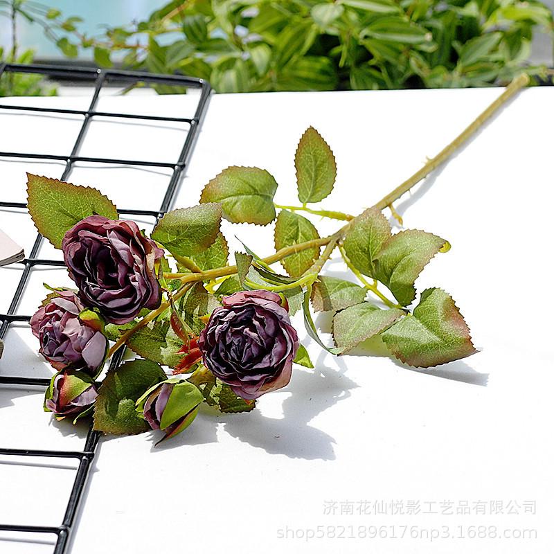 多头复古小蔷薇