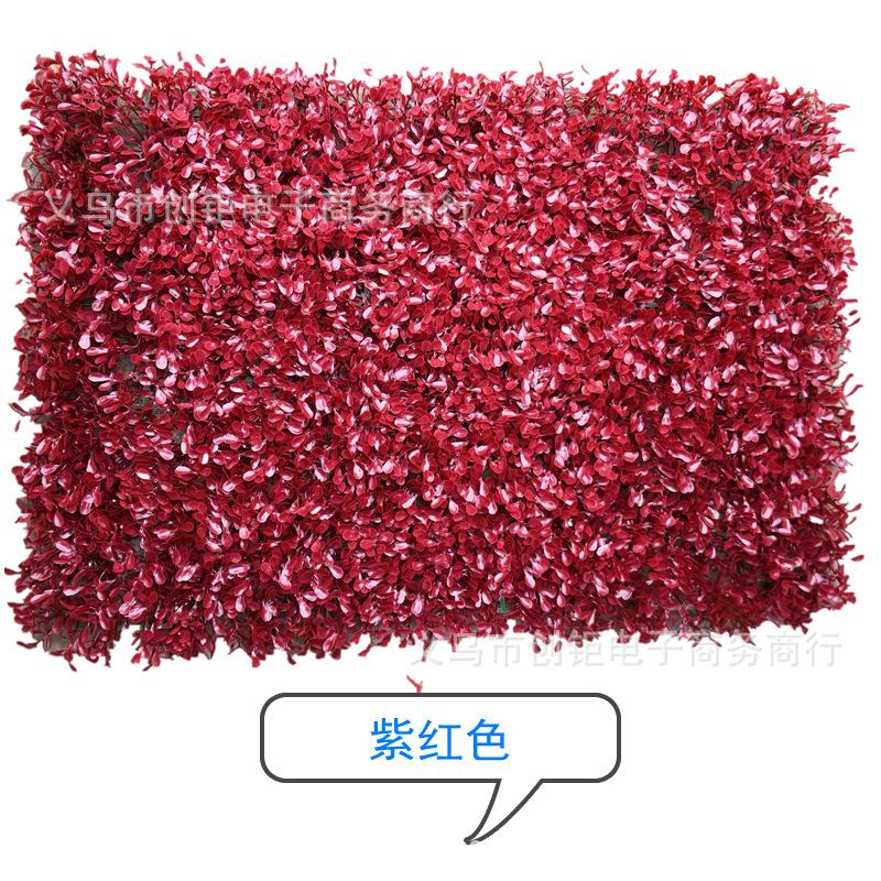 QQ图片20190227123132_副本.png