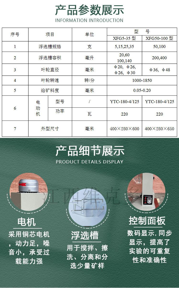挂槽浮选机 (10)