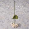 Buquê Falso de Hortênsia de Camada Única Simulada, Flor Artificial de Seda, Ornamentos de Arranjo de Flor de Plástico, Decoração de Casamento