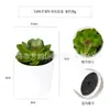 Planta artificial de plástico en maceta mini transfronteriza personalizada, adornos de escritorio, suculentas verdes, bonsái de simulación, combinación libre
