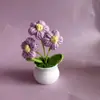Producto Terminado Tejido Flor Puff Rosa Tulipán Nomeolvides Flor Pequeña en Maceta Tejido Artificial DIY Flor Artificial