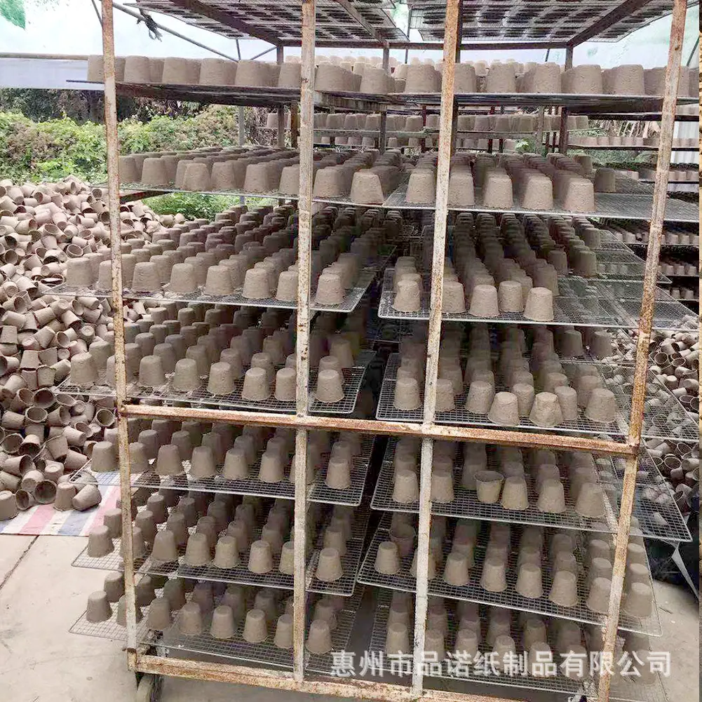 详情11