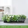 [Serie F100] Macetero con Planta Verde Artificial Decoración para Sala de Estar Interior Ventana de Piso a Techo Paisajismo Fotografía de Bodas Camino
