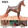 Modelos de Animales Realistas: Doberman, Golden Retriever, Perro de Peluche, Husky, Collie - Adornos para Coche y Juguetes para Niños