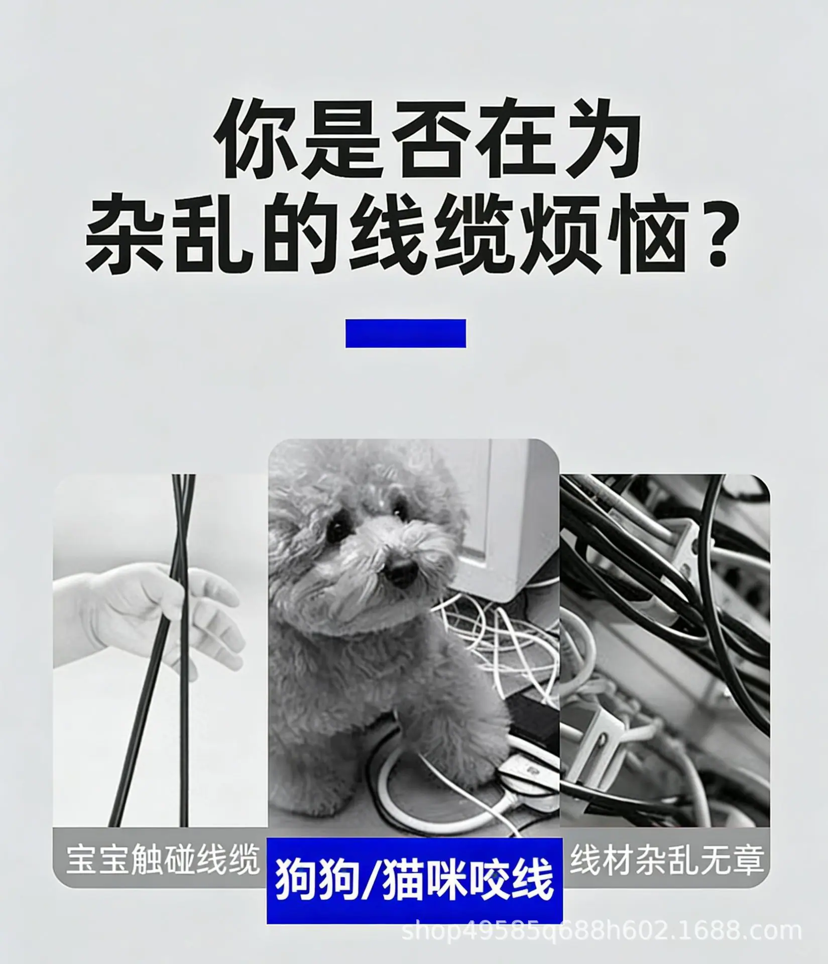 微信图片_20260204211922_3063_4_副本.