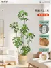 Plantas Verdes Artificiais de Alta Qualidade para Decoração de Sala de Estar, Planta Realista Falsa de Figueira-da-Índia Preta para Decoração de Sala de Transmissão ao Vivo