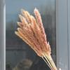 Directo de fábrica Caña decoración de flores secas arreglo floral adornos de flores reales ramo de cañas grandes espigas de trigo gipsófila suministro transfronterizo