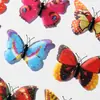 4-16cm Gipsofila Mariposa 3D Estéreo Brillo Manualidades de Mariposa PVC Mariposa de Simulación