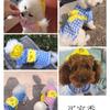 Mochila Perro Pato Amarillo Ropa para Mascotas Suministros para Perros y Gatos Ropa para Gato de Primavera Verano Otoño Ropa de Dos Patas Ropa para Mascotas