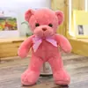 Urso de Pelúcia com Fita Colorida Boneca Urso de Abraçar Boneca de Pano Urso Boneca Máquina de Pegar Presentes