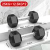 Halteres Hexagonais Revestidos de Ferro Fitness Equipamento Doméstico para Mulheres, Ferro Fundido Sólido Galvanizado, 10 Kg, Força 30 kg