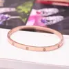 Pulsera de Acero Inoxidable con Cierre, Pulsera de Acabado Espejo, Pulsera Dorada, Pulsera Estilo Europeo y Americano, Pulsera Ecológica, Pulsera de Acero de Titanio para Mujer