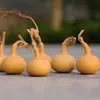 Calabaza natural americana retorcida a mano, silbato de paloma, forma de ajo, de una sola cavidad, pequeña, con un solo asa, coleccionable, de forma extraña, para jugar, y más.