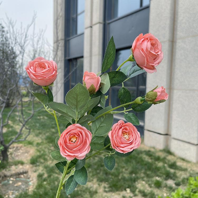 6头花蕊小玫瑰-sxlzjx-深粉.JPG