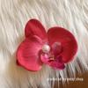 Flor de Íris Explosiva Phalaenopsis Pérola Flor Artesanal Grampo de Cabelo Franja Parte de Trás da Cabeça Disco Pegador de Cabelo Acessório de Cabeça Mulheres