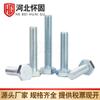 Parafusos Galvanizados, Parafusos de Aço Zincado Azul-Branco de 4,8 mm Estendidos, Rosca Completa e Meia Rosca, Parafusos Sextavados Externos Padrão Nacional