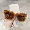 Gafas de Sol Negras de Marco Negro Estilo Coreano Tendencia Champagne Hacen que la Cara Parezca Más Pequeña 2024 Nuevas Gafas de Sol de Celebridad de Internet para Mujer con un Toque de Alta Gama Estilo Ins