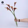 Ventas Directas de Fábrica Material Suave Núcleo de PU Lirio Calla Tacto Artificial Arreglo de Flor Individual Decoración del Hogar Boda Lirio Calla