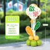 Decoración de escena para ceremonia de regreso a clases para clases de transición de jardín de infantes y primaria, incluyendo columnas de globos, tableros KT y artículos decorativos