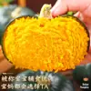 Abóbora Beibei Castanha Abóbora Pequena 5kg Fresca Huie Japonesa Não. 1 Suplemento Alimentar em Pó para Bebês Abóbora Doce Velha Legumes