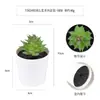 Más de 100 Tipos de Combinaciones de Plantas Suculentas Mini de Plástico Simuladas en Maceta, Mini Bonsáis Suculentos Más Vendidos Transfronterizos, Decoración para el Hogar, Adornos Creativos
